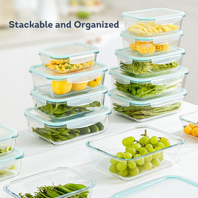 HOMIRA Classic Rectangle Borosilicate Glass Food Container (700ml-1520ml)